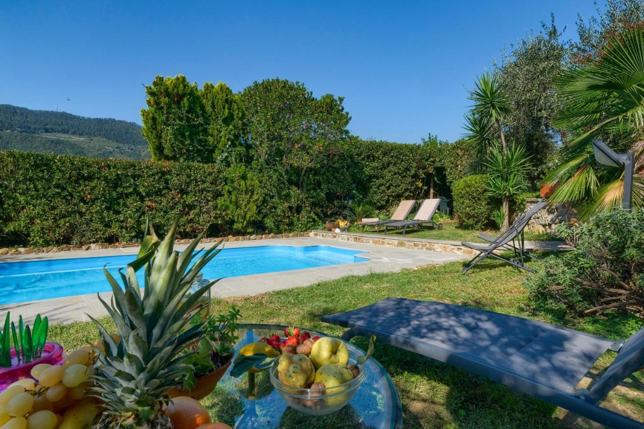 Villa Maria - In The Hills Above Florence Castiglione  외부 사진